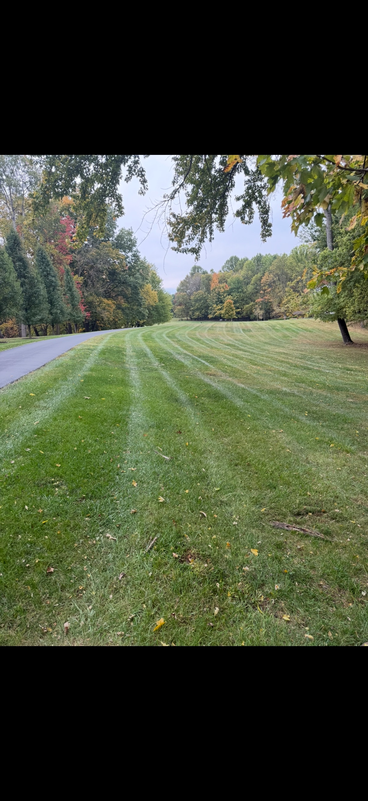 Richhart Lawncare work example 5