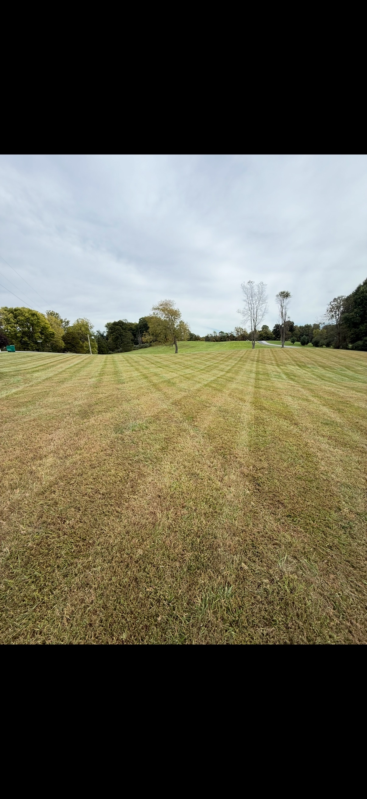 Richhart Lawncare work example 6